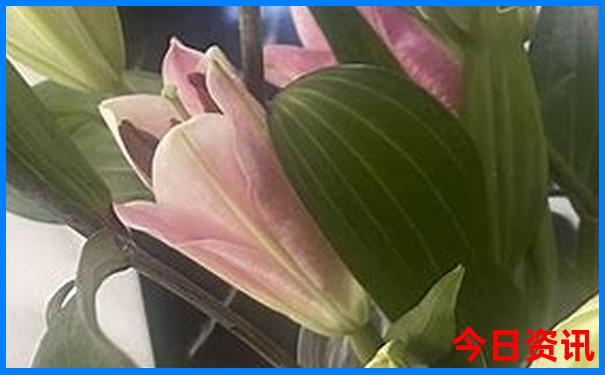 东北夏天有什么好玩的景点